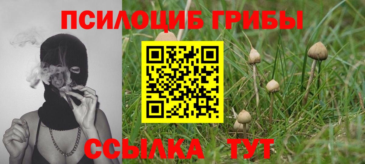 Псилоцибиновые грибы прущие грибы Липецк